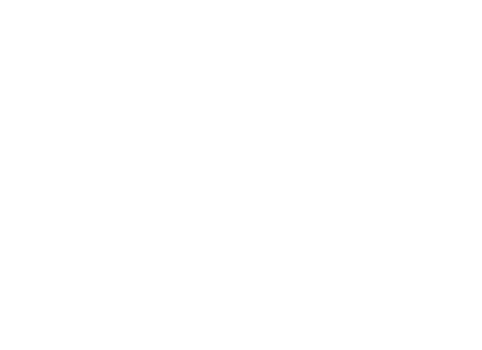 INC.C Payments